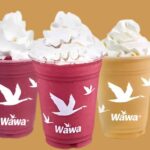 Wawa Shake Menu usa